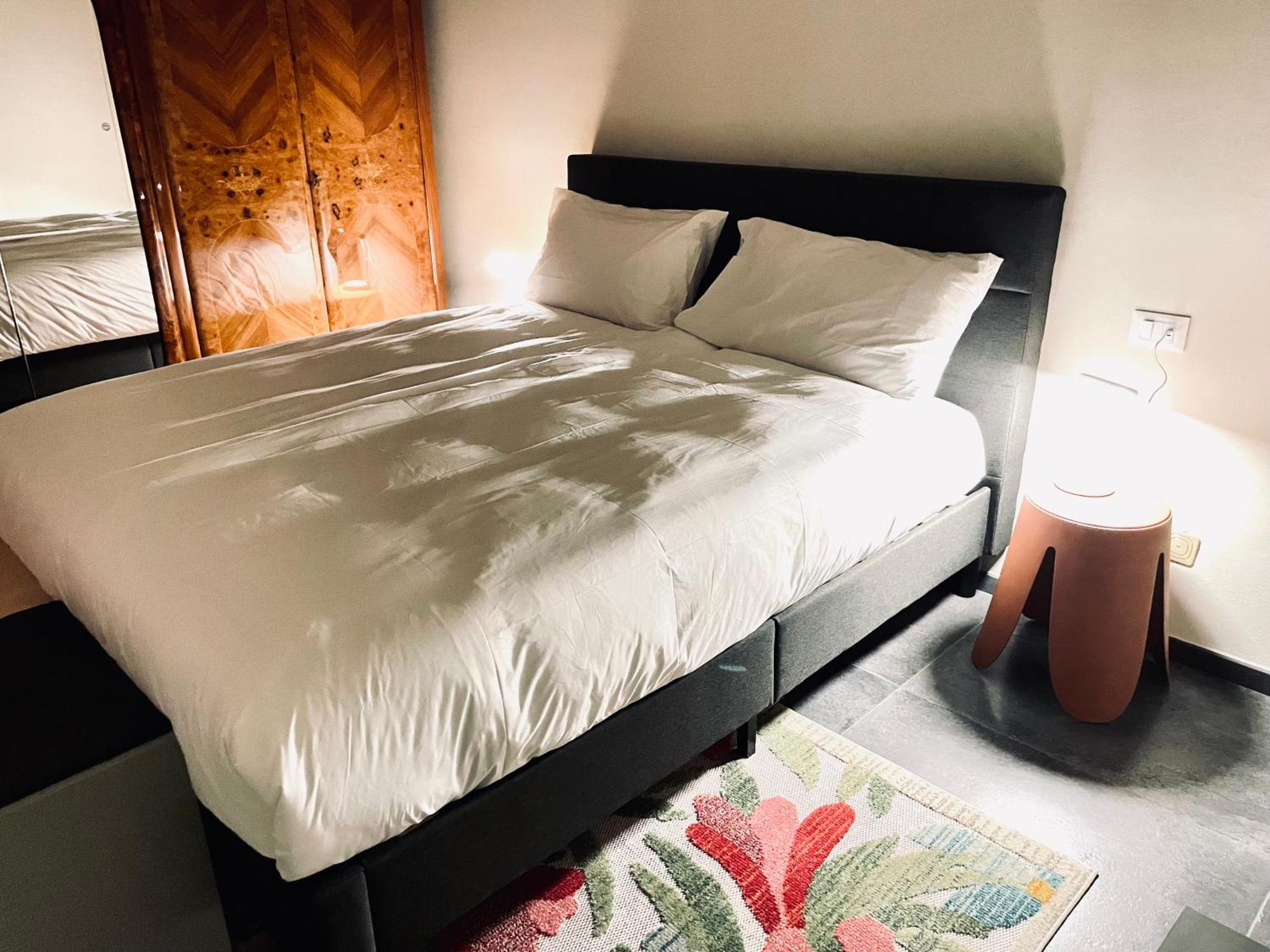33 Borgo Ticino Lux Free Parking & Private Garden Διαμέρισμα Παβία Εξωτερικό φωτογραφία