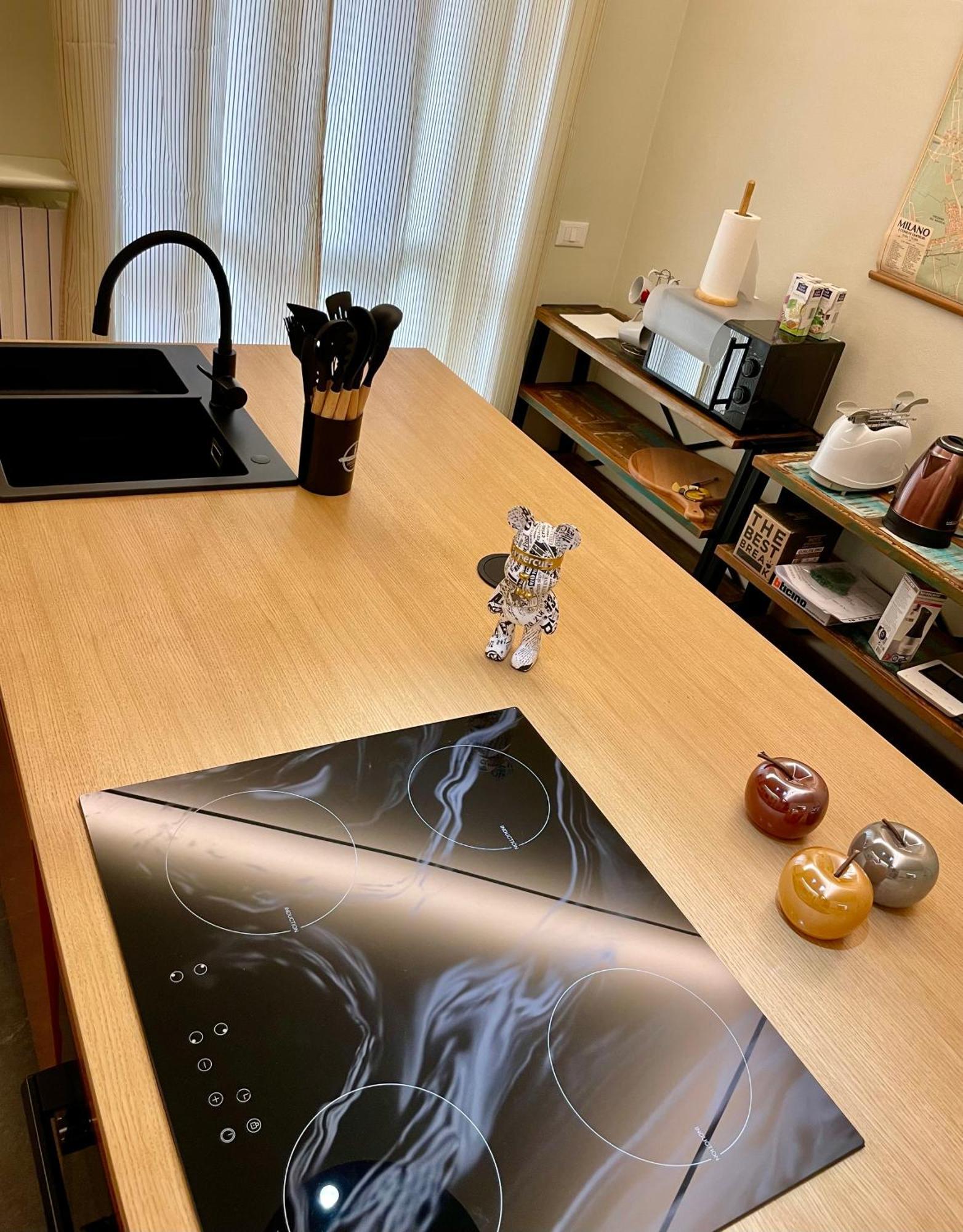 33 Borgo Ticino Lux Free Parking & Private Garden Διαμέρισμα Παβία Εξωτερικό φωτογραφία